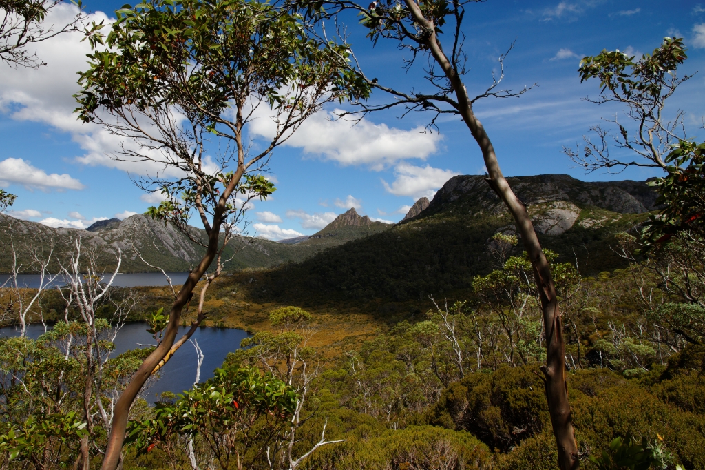 20 - Cradle Montain NP (16).jpg